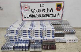 Şırnak’ta çok sayıda uzun namlulu silah ele...