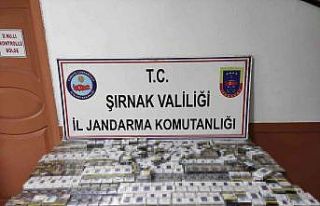 Şırnak’ta kaçakçılık operasyon: 81 gözaltı