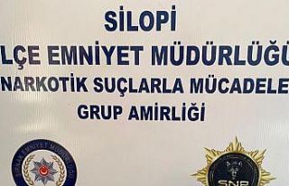 Şırnak’ta kaçakçılık operasyon: 82 gözaltı