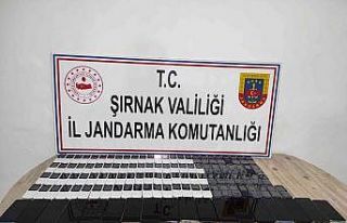 Şırnak’ta kaçakçılık operasyonu: 49 gözaltı