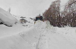 Şırnak’ta kar esareti: 19 köy ve 11 mezra yolu...