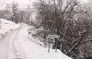 Şırnak’ta karla mücadele devam ederken, kapanan...