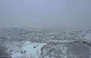 Sis, kar ve doğanın eşsiz uyumu kartpostallık...