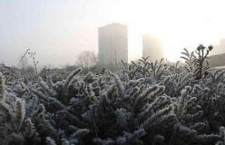 Sivas sisli bir sabaha uyandı, ortaya kartpostallık...