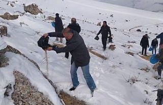 Sivas’ta yaban hayatı unutulmadı