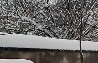 Soğuğa aldırış etmedi, soyunup karın içinde...