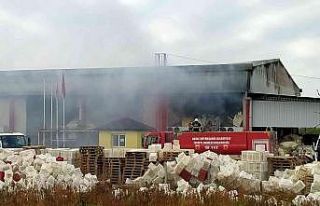 Soğuk hava deposunda yangını söndürme çalışmaları...