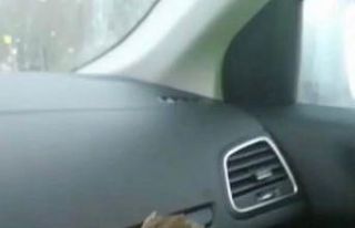 Soğukta donmak üzere olan kuşa polisten şefkat...