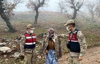 Soğuktan bitkin düşen kayıp kadını jandarma...