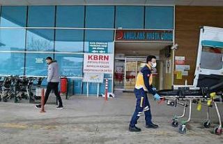 Soğuktan titreyen yavru köpeğe sağlıkçı şefkati