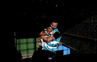 Sokağa bırakılan pitbullar ile dost oldu...Onların...