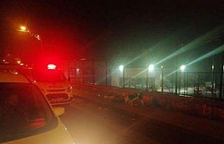 Sokağa terk edilen Pitbull, ekipleri alarma geçirdi