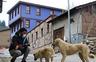 Sokak hayvanları için beslenme seferberliği