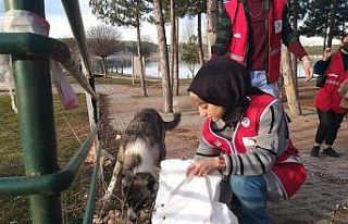 Sokak hayvanları için doğaya yem ve su bıraktılar