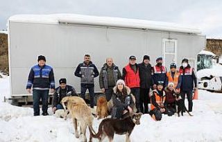 Sokak hayvanları için el birliği