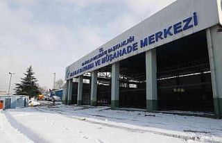 Sokak hayvanları infrared sistemle soğuktan korunuyor