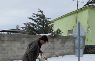 Sokak hayvanları unutulmadı