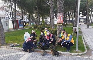 Sokak hayvanları yalnız değil