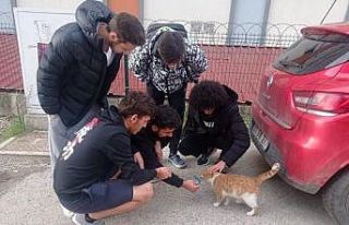 Sokak hayvanlarına öğrencilerden özel ilgi