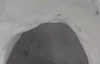 Sokak kedileri için kardan ev yaptılar