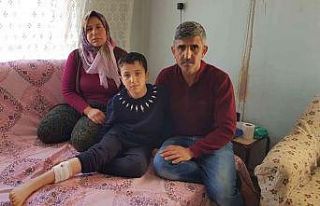 Sokak Köpekleri bir çocuğa daha saldırdı