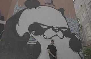 Sokak sanatı evlere taşınıyor