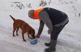 Sokaktaki canlar sahipsiz kalmadı