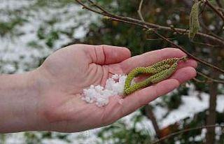 Soydan: “Bölgedeki kar yağışı fındık açısından...