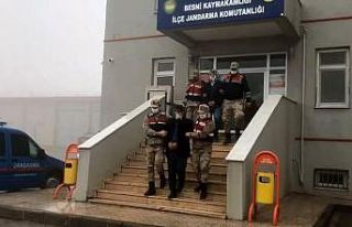 Sulama borularını çaldılar