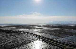 Sular altında kalan tarım arazileri havadan görüntülendi