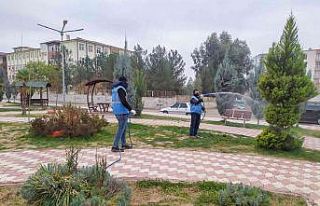 Suriye sınırında şark çıbanı alarmı