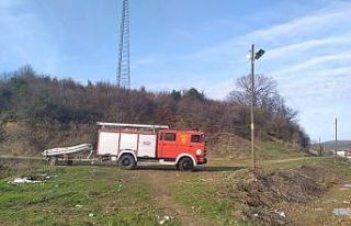 Suyun içinde kalan ineği itfaiye ekipleri kurtardı