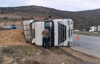 Talaş yüklü tır devrildi: 1 yaralı