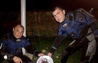 Tarihi hamama düşen 2 yavru köpeği AFAD ekipleri...