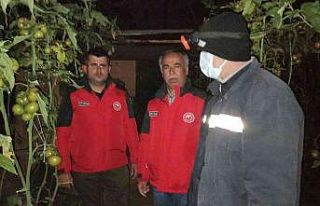 Tarım ekipleri zirai don nöbetindeki üreticileri...