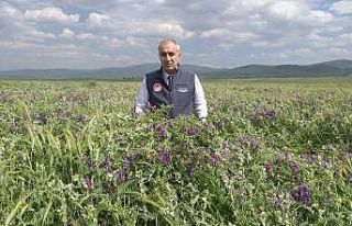 Tarımsal desteklemelerde rekor