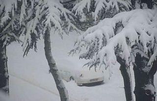 Tatvan kara teslim oldu