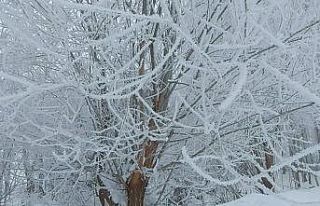 Tatvan’ın bir yanı sis bir yanı güneş