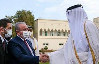 TBMM Başkanı Şentop, Katar Emiri tarafından kabul...