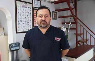 Tehlikeli köpek ırkları