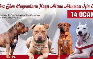 Tehlikeli köpek ırkları için son kayıt tarihi...