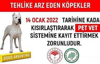 Tehlikeli köpekler kısırlaştırılarak PETVET...