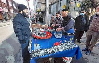 Tekirdağ’da istavrit 20, hamsi 25 TL’ye kadar...