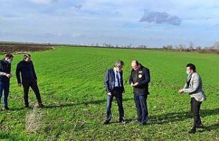 Tekirdağ’da tarım ve hayvancılık faaliyetleri...