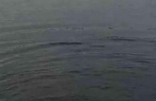 Telefonunu düşüren gencin buz gibi göle daldığı...