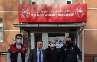 Tepebaşı’nda 7 ayda bin 123 köpek kayıt altına...