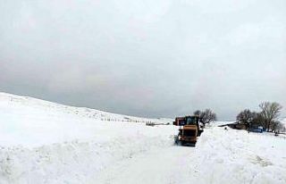Tercan’da kardan kapalı köy ve mezra yolları...