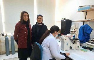 Tıp Fakültesi öğretim üyelerinden TÜBİTAK başarıları