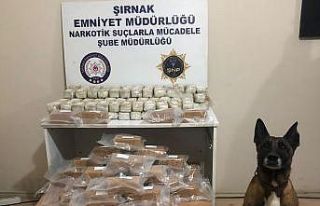 Tırın zulasındaki 52 kilo 639 gram eroini ‘Stark’...