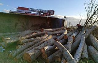 Tomruk yüklü kamyon devrildi, sürücünün burnu...